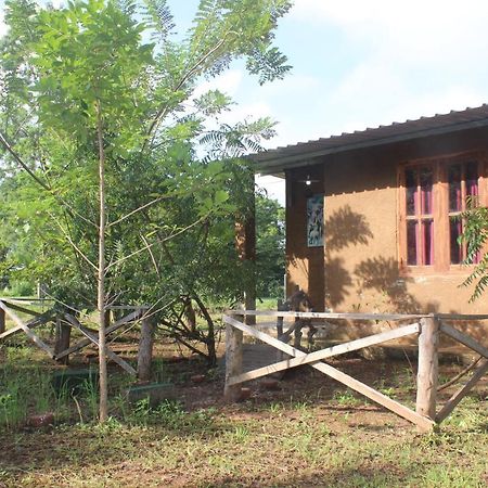 Wilpattu Holiday Home Nochchiyagama Exterior foto