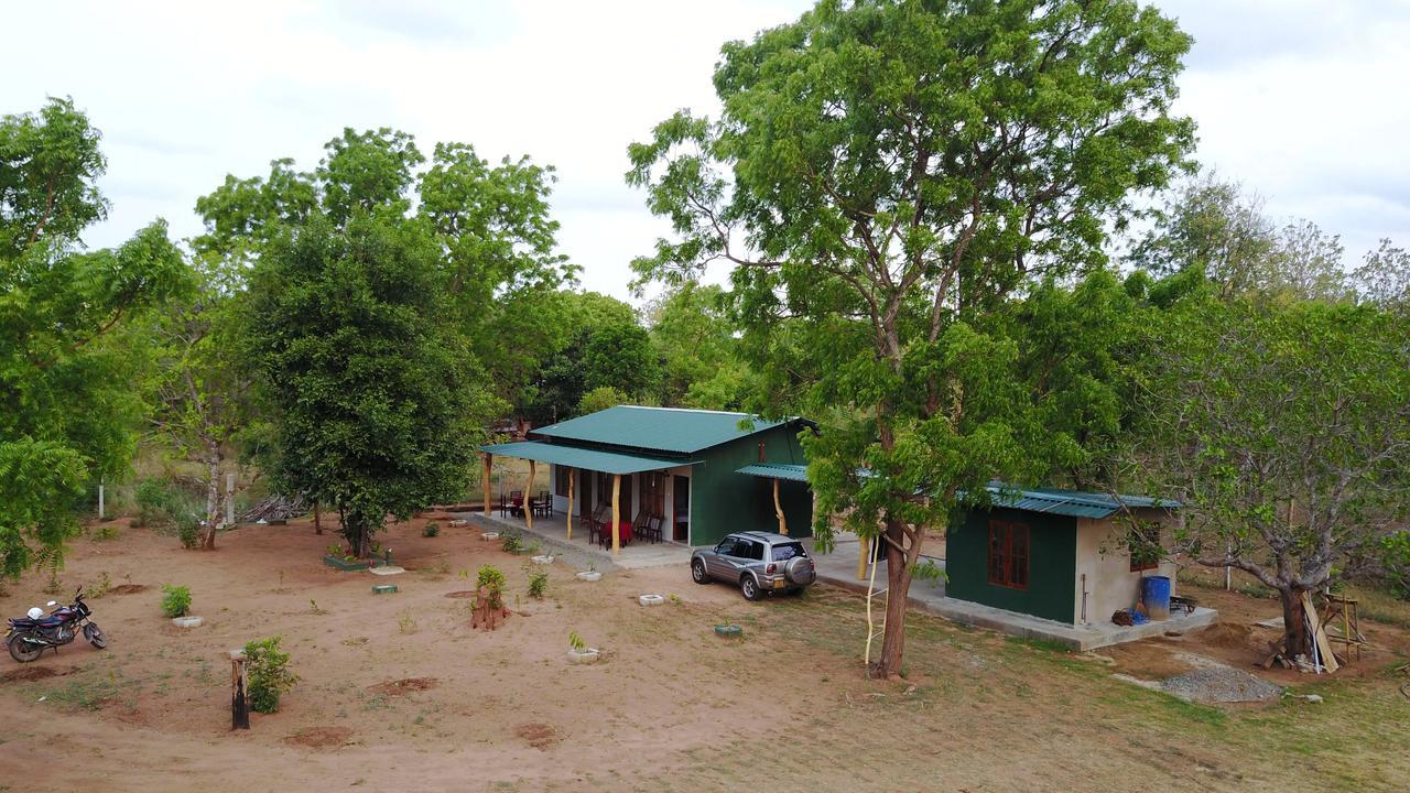 Wilpattu Holiday Home Nochchiyagama Exterior foto