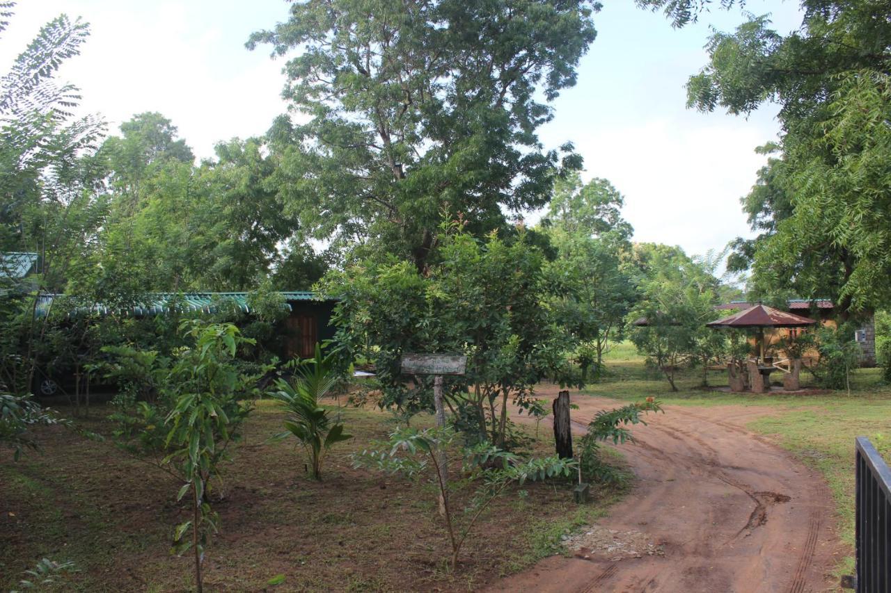 Wilpattu Holiday Home Nochchiyagama Exterior foto