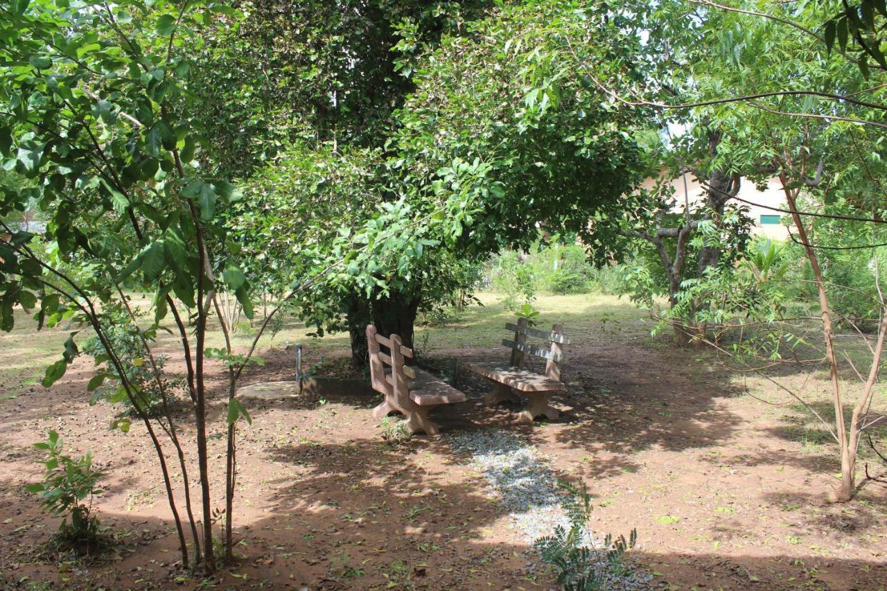 Wilpattu Holiday Home Nochchiyagama Exterior foto